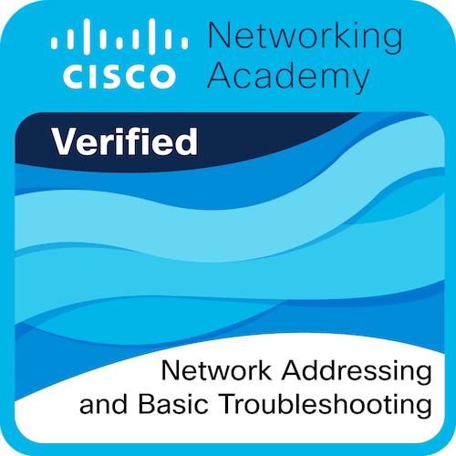 Network Addressing and Basic Troubleshooting